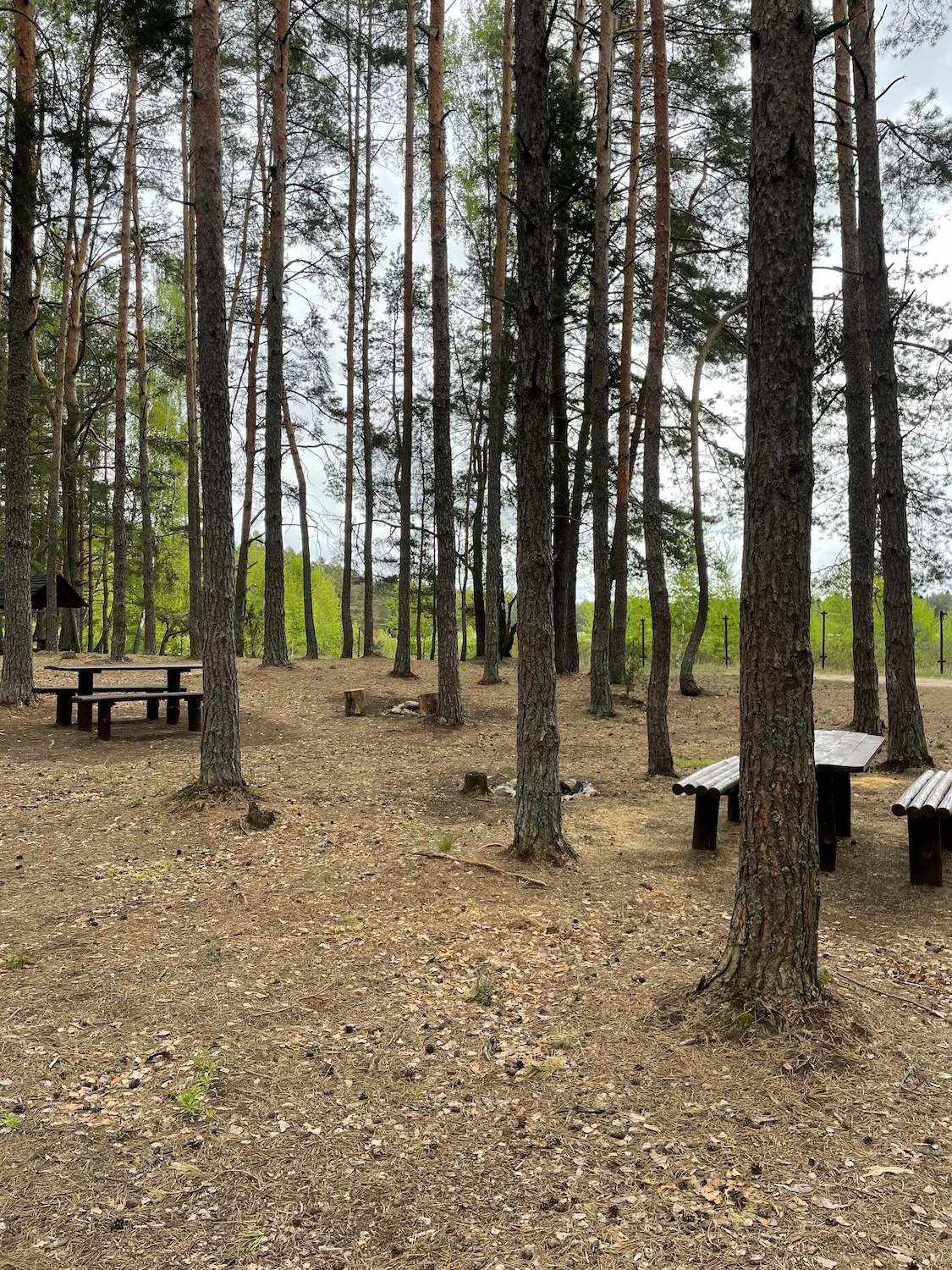 «Beloye» Tourist Campsite