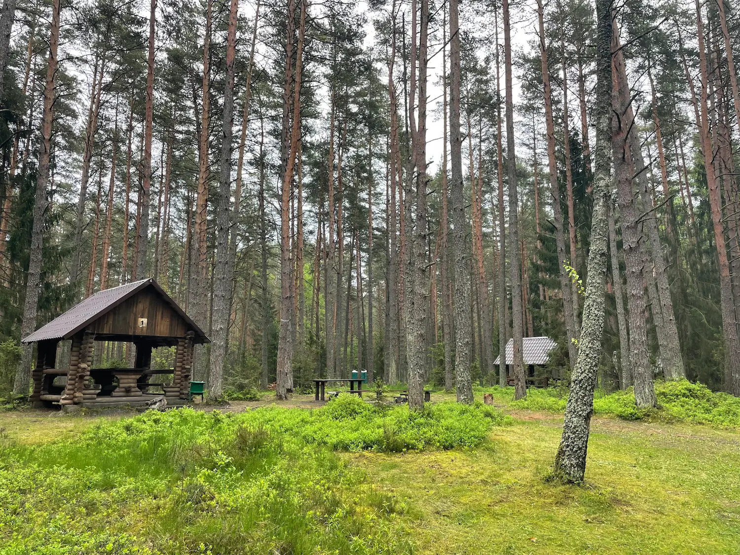 «Naroch» Motorhome Park (Designated Tourist Campsite)