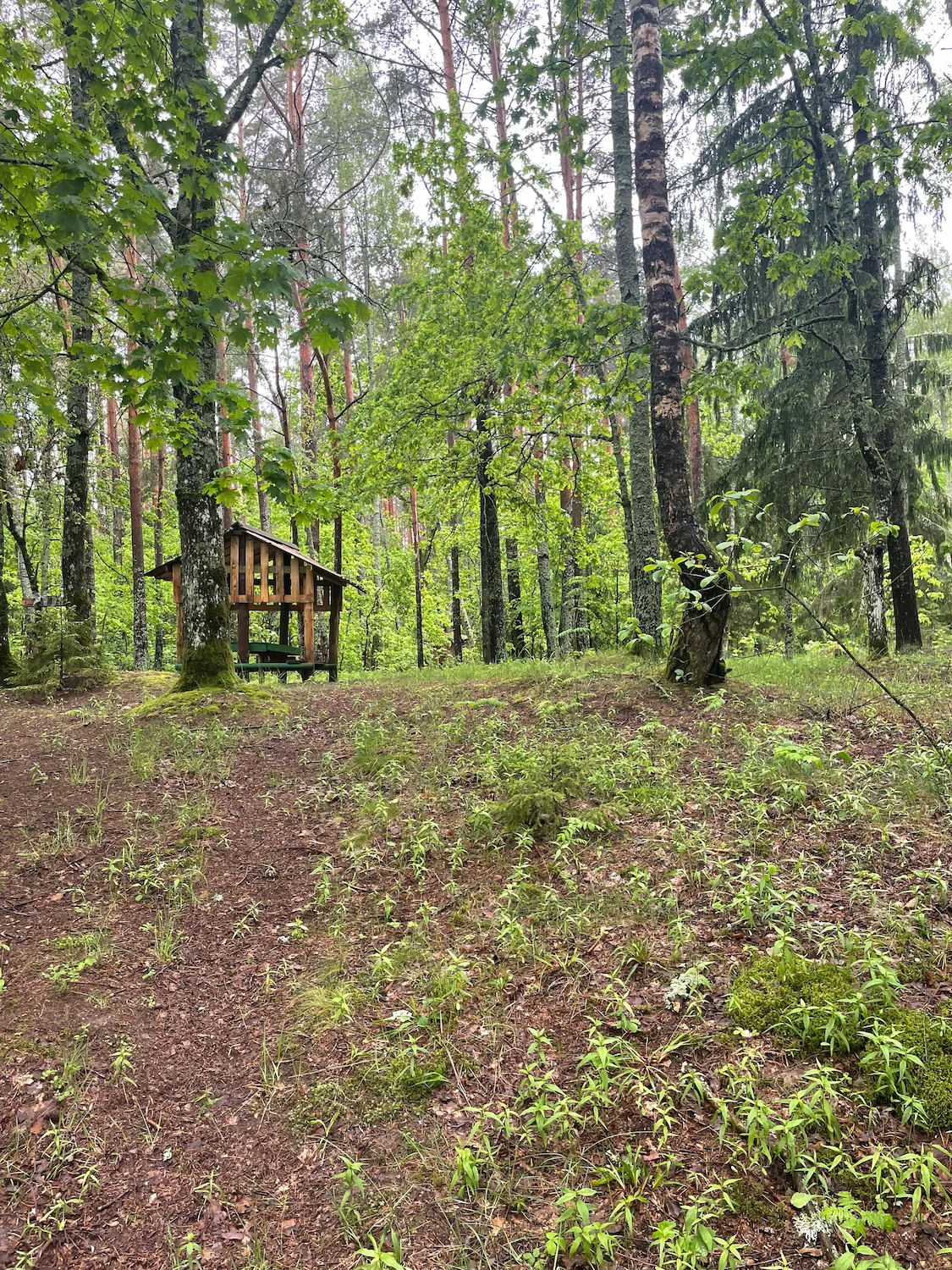 Konkovo ​​Tourist Campsite