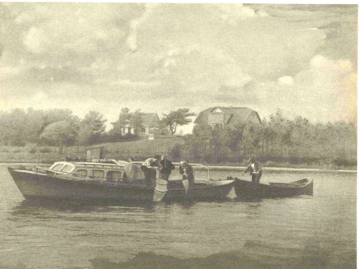 Krayaznauchy project