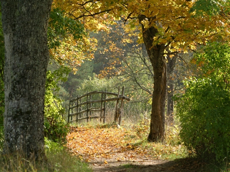 Routes to agritourism estates…