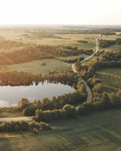A Walk Along Nature Reserve Trails